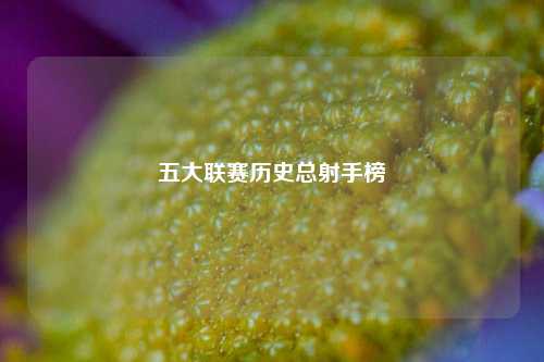五大联赛历史总射手榜