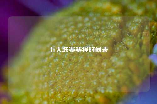 五大联赛赛程时间表