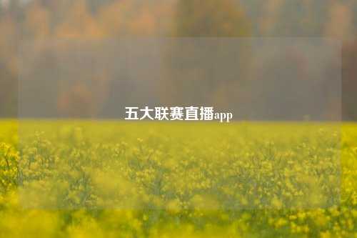 五大联赛直播app