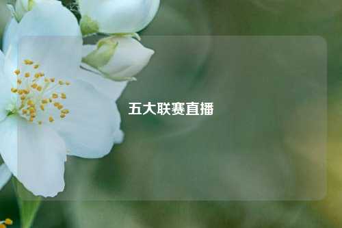 五大联赛直播