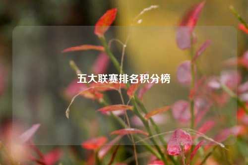 五大联赛排名积分榜