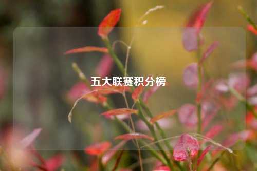 五大联赛积分榜