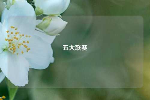 五大联赛