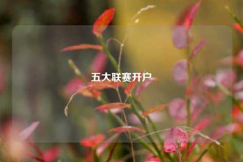 五大联赛开户