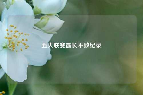五大联赛最长不败纪录