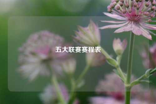五大联赛赛程表