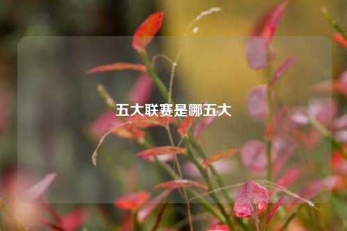 五大联赛是哪五大