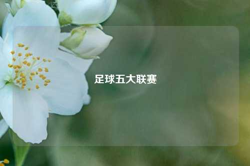 足球五大联赛