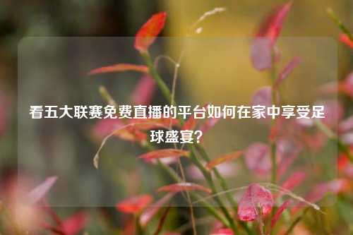 看五大联赛免费直播的平台如何在家中享受足球盛宴？