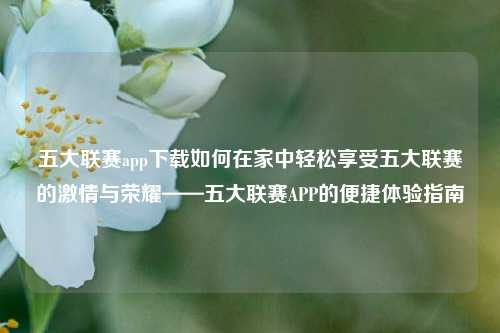 五大联赛app下载如何在家中轻松享受五大联赛的激情与荣耀——五大联赛APP的便捷体验指南