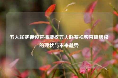 五大联赛视频直播版权五大联赛视频直播版权的现状与未来趋势
