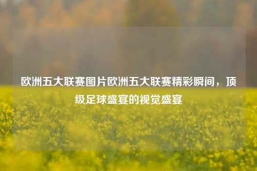 欧洲五大联赛图片欧洲五大联赛精彩瞬间，顶级足球盛宴的视觉盛宴
