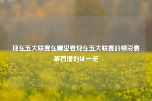 现在五大联赛在哪里看现在五大联赛的精彩赛事直播地址一览