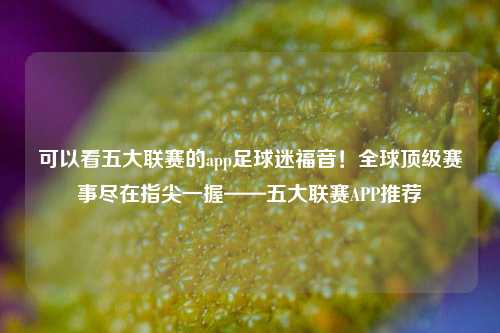 可以看五大联赛的app足球迷福音！全球顶级赛事尽在指尖一握——五大联赛APP推荐