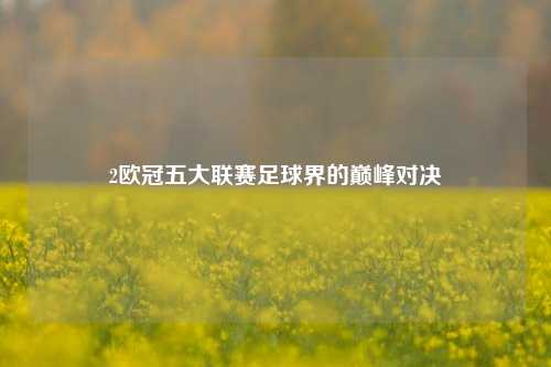 2欧冠五大联赛足球界的巅峰对决
