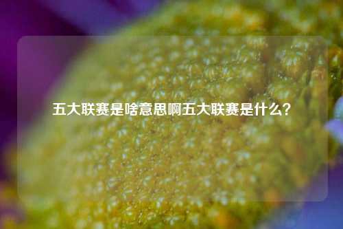 五大联赛是啥意思啊五大联赛是什么？