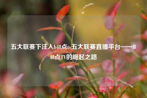 五大联赛下注入b48点tv五大联赛直播平台——B48点TV的崛起之路