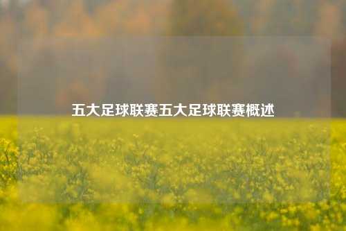 五大足球联赛五大足球联赛概述