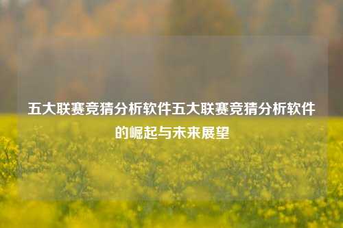 五大联赛竞猜分析软件五大联赛竞猜分析软件的崛起与未来展望