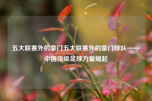 五大联赛外的豪门五大联赛外的豪门球队——中国顶级足球力量崛起