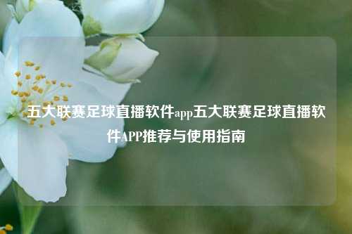 五大联赛足球直播软件app五大联赛足球直播软件APP推荐与使用指南