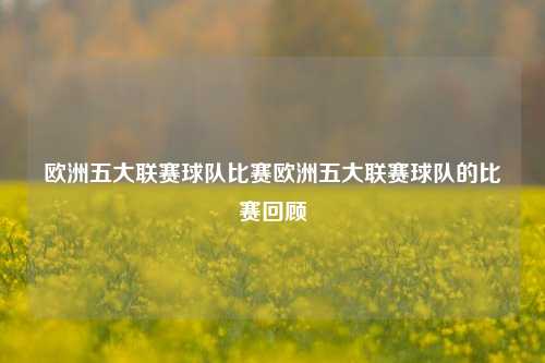 欧洲五大联赛球队比赛欧洲五大联赛球队的比赛回顾
