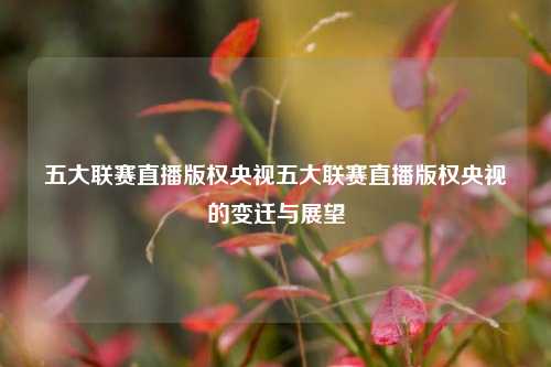 五大联赛直播版权央视五大联赛直播版权央视的变迁与展望