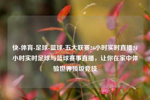快-体育-足球-篮球-五大联赛24小时实时直播24小时实时足球与篮球赛事直播，让你在家中体验世界顶级竞技