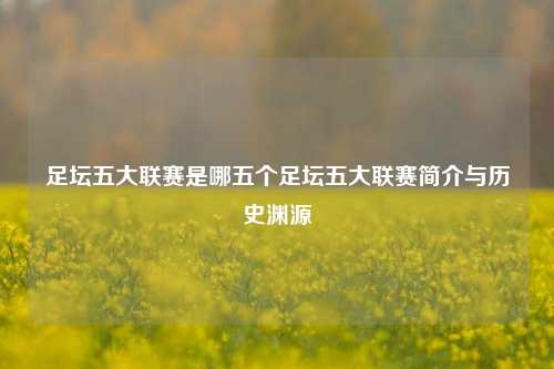 足坛五大联赛是哪五个足坛五大联赛简介与历史渊源