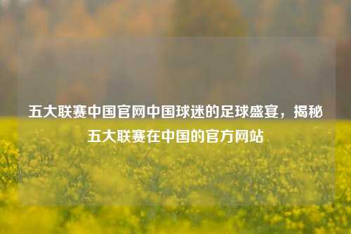 五大联赛中国官网中国球迷的足球盛宴，揭秘五大联赛在中国的官方网站