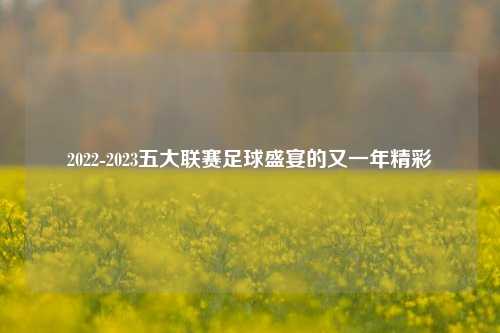 2022-2023五大联赛足球盛宴的又一年精彩