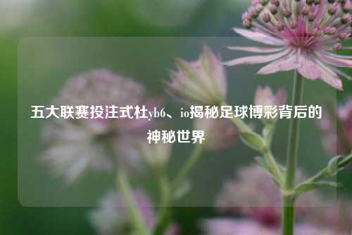 五大联赛投注式杜yb6、io揭秘足球博彩背后的神秘世界