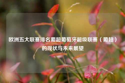 欧洲五大联赛排名葡超葡萄牙超级联赛（葡超）的现状与未来展望