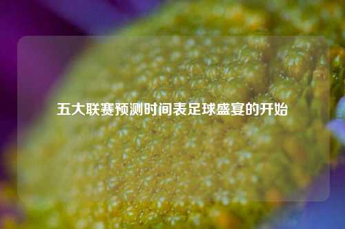 五大联赛预测时间表足球盛宴的开始
