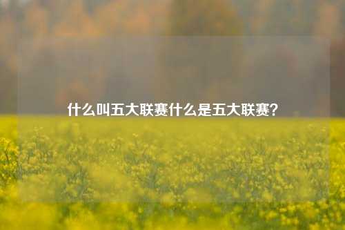 什么叫五大联赛什么是五大联赛？