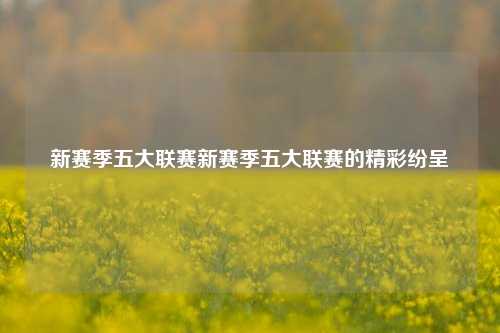新赛季五大联赛新赛季五大联赛的精彩纷呈