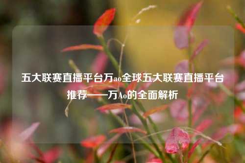 五大联赛直播平台万ao全球五大联赛直播平台推荐——万Ao的全面解析