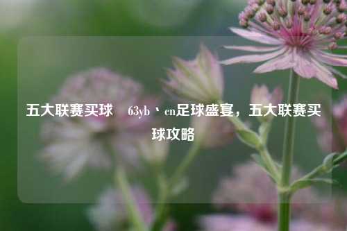 五大联赛买球齁63yb丶cn足球盛宴，五大联赛买球攻略