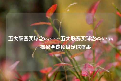 五大联赛买球念63yb丶cn五大联赛买球念63yb丶cn——揭秘全球顶级足球盛事