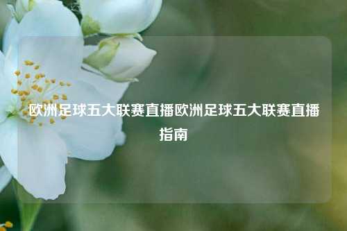 欧洲足球五大联赛直播欧洲足球五大联赛直播指南