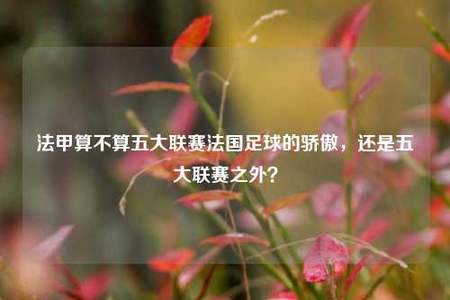 法甲算不算五大联赛法国足球的骄傲，还是五大联赛之外？