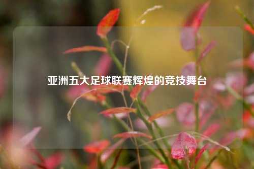 亚洲五大足球联赛辉煌的竞技舞台