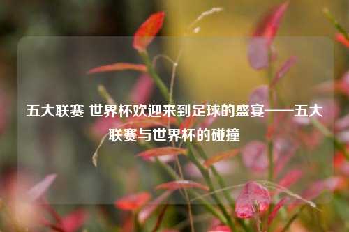 五大联赛 世界杯欢迎来到足球的盛宴——五大联赛与世界杯的碰撞