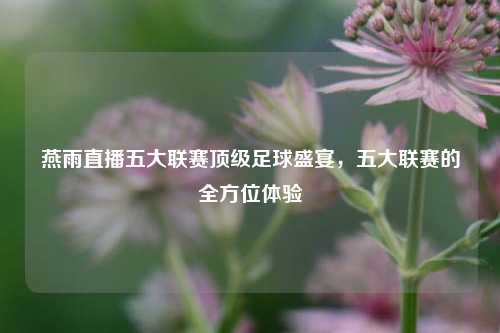 燕雨直播五大联赛顶级足球盛宴，五大联赛的全方位体验