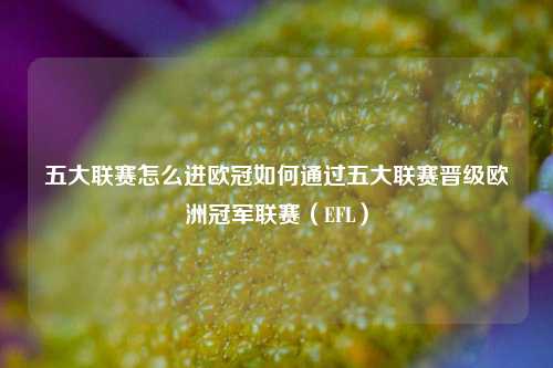 五大联赛怎么进欧冠如何通过五大联赛晋级欧洲冠军联赛（EFL）