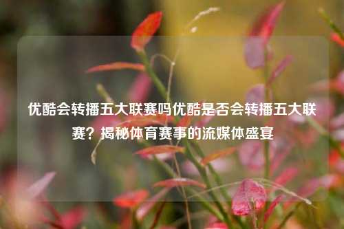 优酷会转播五大联赛吗优酷是否会转播五大联赛？揭秘体育赛事的流媒体盛宴