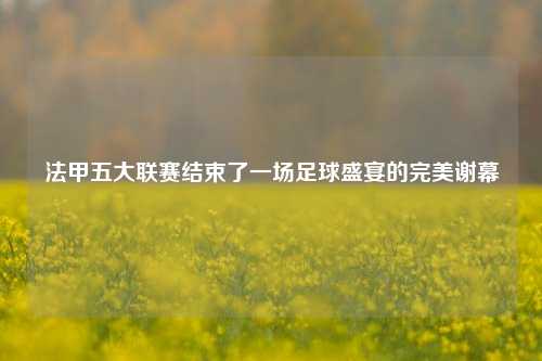 法甲五大联赛结束了一场足球盛宴的完美谢幕