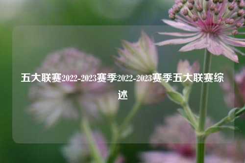 五大联赛2022-2023赛季2022-2023赛季五大联赛综述