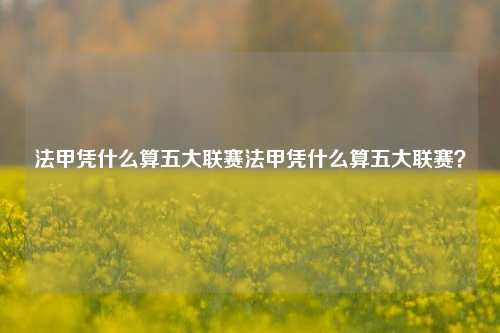 法甲凭什么算五大联赛法甲凭什么算五大联赛？