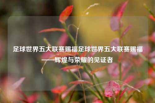 足球世界五大联赛赐福足球世界五大联赛赐福——辉煌与荣耀的见证者